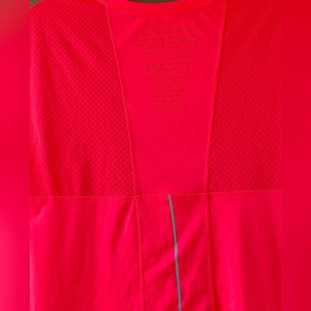 Champion - Picture 7 of 10